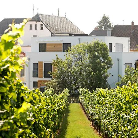 Ferienwohnung Maximilians Domizil Edenkoben Exterior foto